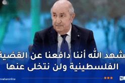 رئيس الجمهوية: “نرفض أن يكون وجود الجزائر في القمم العربية للتزكية فقط”