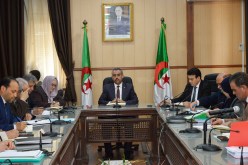 وزير التربية: المنظمات النقابية المعتمدة يُسمح لها أن تُعيّن ممثلا نقابيا