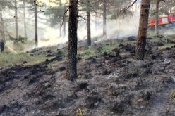 قسنطينة .. إخماد حريق بغابة جبل الوحش