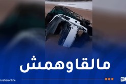 البيض:البحث عن 03 أشخاص مفقودين جرفتهم السيول