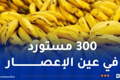تحقيقات واسعة للإطاحة ببارونات “البنان”