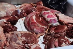 سيدي بلعباس.. حجز ما يفوق قنطارين من اللحوم غير الصالحة للاستهلاك البشري