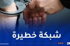 SCLTIS تُفكك شبكة منظمة وتضبط 176 ألف كبسولة مؤثرات عقلية