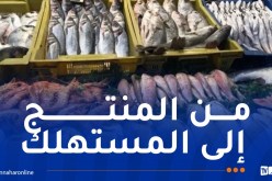 أكثر من 200 نقطة بيع لمنتجات الصيد البحري