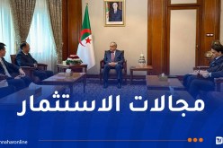 العرباوي يستعرض سبل تنويع المحتوى الاقتصادي للشراكة مع الصين