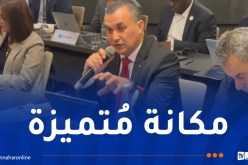 الجزائر في طليعة تبني الذكاء الاصطناعي في إفريقيا