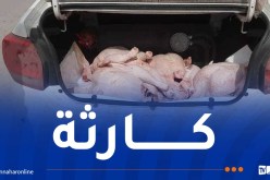 أمن مستغانم يحجز 90.4 كلغ من اللحوم البيضاء الفاسدة
