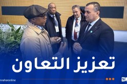 وزير البريد يُجري محادثات ثنائية مع نظيريه الصومالي والموزمبيقي