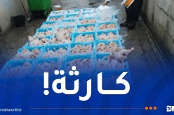 بجاية: حجز أكثر من 5 قناطير من اللحوم البيضاء و الحمراء الفاسدة بأقبو