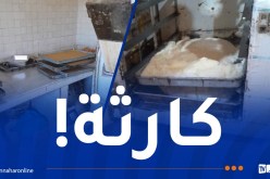 حجز 7 قناطير من “قلب اللوز” وشاربات مجهولة المصدر بعين الدفلى