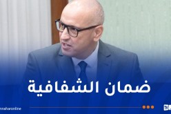 إنتخابات مجلس الأمة: عملية الاقتراع تتم في ظروف جيدة