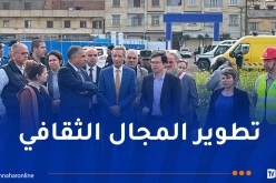 وزير الثقافة يأمر بتسريع وتيرة انجاز مشروع قصر الثقافة والترفيه ببراقي