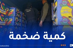 حجز أزيد من 26 قنطارا من الموز في تيبازة