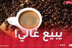 7 سنوات حبسا نافذا لتاجر بتهمة المضاربة في مادة البنّ