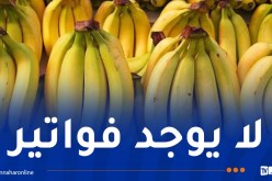 حجز أكثر من 10 قناطير من الموز بسطيف