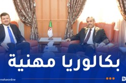 تربية.. نحو استحداث ثانويات مهنية