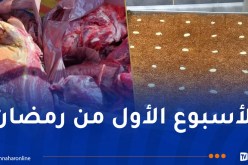 عين الدفلى.. ضبط 7 قناطير من اللحوم وأخرى من قلب اللوز غير صالحة للاستهلاك