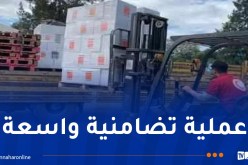سوناطراك: توزيع 80 ألف قفة تحتوي على مواد غذائية أساسية