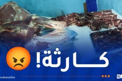 الأمن يضبط كميات معتبرة من اللحوم الفاسدة بسوق أهراس