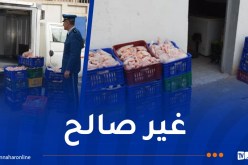 بجاية: الشرطة تحجز 8 قناطير من الدجاج الفاسد بسيدي عيش