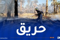 حريق يتسبب في تلف 270 نخلة في المغير