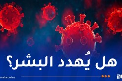 إكتشاف فيروس كورونا جديد في خفافيش البرازيل