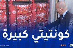 حجز 34 حاوية من الموز بميناء عنابة