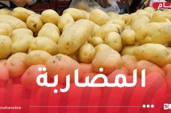 حجز 150 طن من البطاطا ببومرداس!