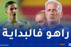 بيتكوفيتش: “عدم استدعاء بولبينة حاليا هو الخيار الأمثل”