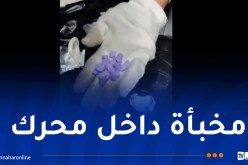 بجاية.. الجمارك تحبط تمرير أزيد من 87 ألف قرص مهلوس