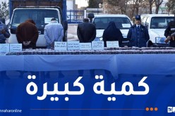 النعامة.. إحباط إدخال أزيد من 72 ألف قرص مهلوس على الحدود الغربية