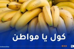 “البنان” بـ250 ديناراً بداية من هذا الأربعاء