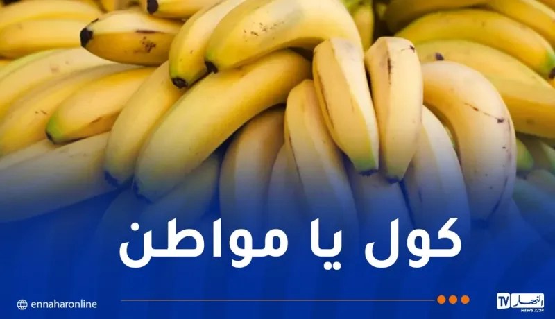 “البنان” بـ250 ديناراً بداية من هذا الأربعاء