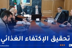 إجتماع تنسيقي حول الربط الطاقوي للمشاريع الفلاحية الاستراتيجية بالجنوب