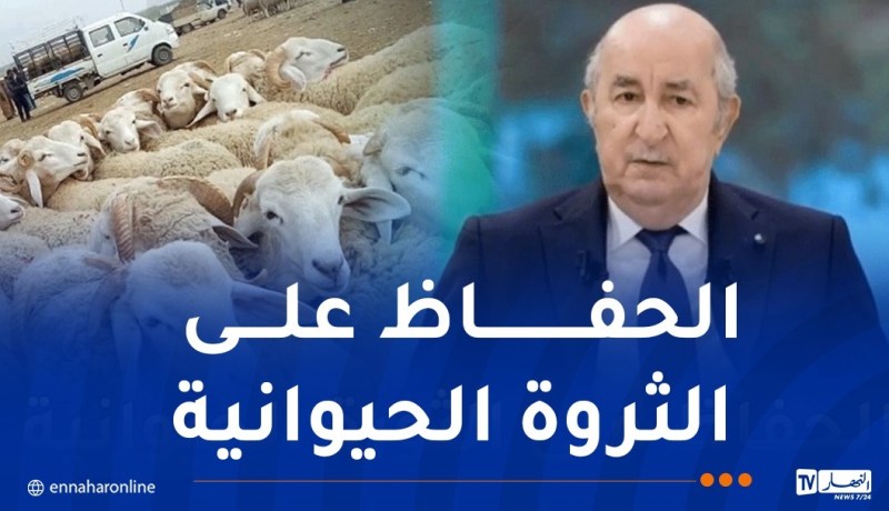 رئيس الجمهورية.. مجرد  التفكير في بيع الخروف بـ 17 مليون سنتيم بالنسبة لي حرام