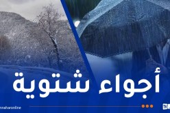 برودة شديدة.. ثلوج وأمطار غزيرة بداية من الغد