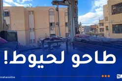 صور صادمة.. إصابة إمرأة في إنفجار للغاز بالمسيلة!