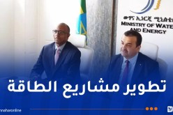 عرقاب يبحث تعزيز التعاون الثنائي بأديس أبابا مع وزير المياه والطاقة الإثيوبي
