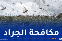 إجراءات إستباقية لمواجهة خطر الجراد