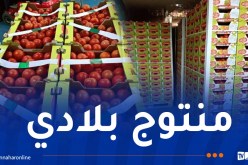 الوادي: تصدير 20 طن من الطماطم الطازجة إلى فرنسا