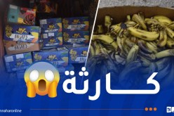 عين الدفلى.. ضبط قرابة 6.5 قنطار من الموز الفاسد