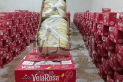 أم البواقي: إنطلاق تموين السوق بالموز المحجوز بسعر 260 دج