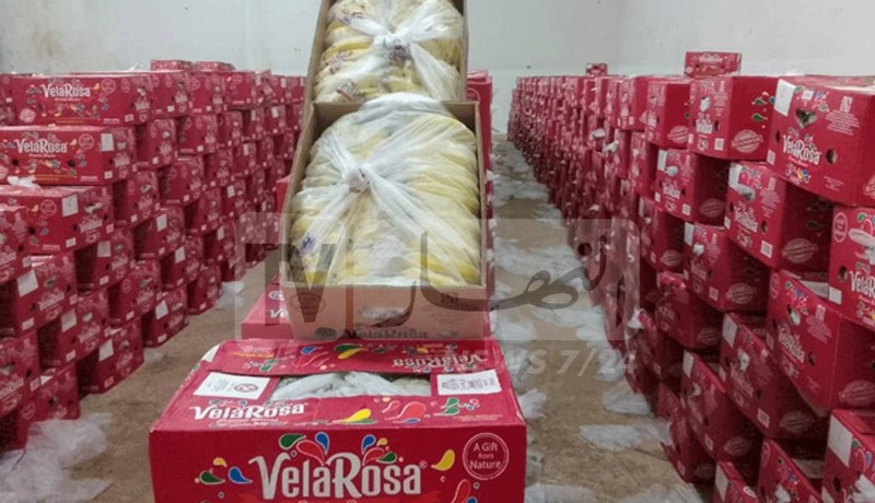 أم البواقي: إنطلاق تموين السوق بالموز المحجوز بسعر 260 دج