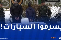 العاصمة: تفكيك 4 شبكات إجرامية تحترف سرقة المركبات