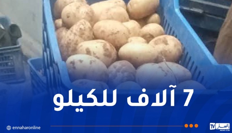 بداية تسويق البطاطا بسعر 75 دج في ميلة