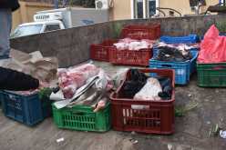 المدية: حجز كمية معتبرة من الدجاج وأحشاء الغنم مجهولة المصدر