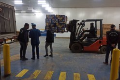 الشلف: حجز 22 قنطاراً من الموز بسوق الجملة