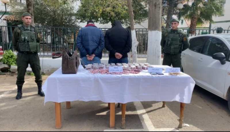 المدية: توقيف شخصين وحجز 9 آلاف قرص مهلوس