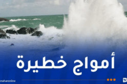 أمواج عالية ورياح عاتية في هذه السواحل !