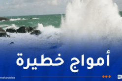 رياح قوية وأمواج عالية في هذه السواحل اليوم